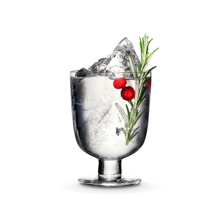 Kyrö x Iittala G&T -lasit